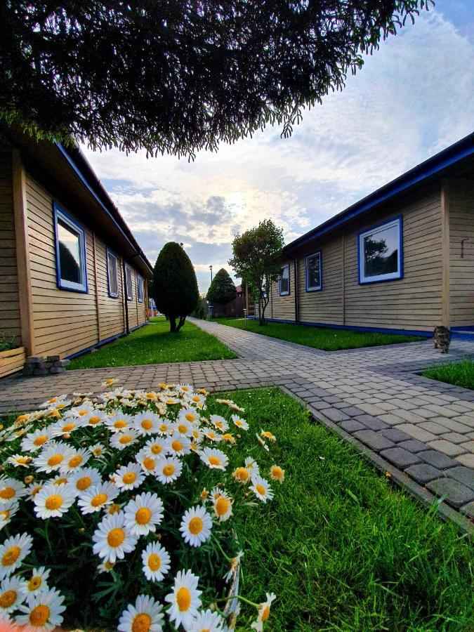 Wir Gaski - Domki Letniskowe Exterior foto